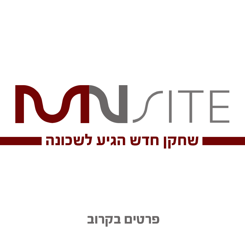 אתר אינטרנט